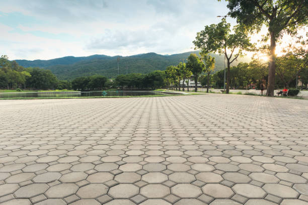 Best Best Driveway Pavers  in Packanack Lake, NJ